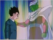 Gohan e Piccolo