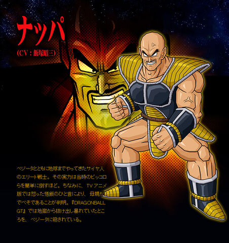 File:Nappa BT3.jpg