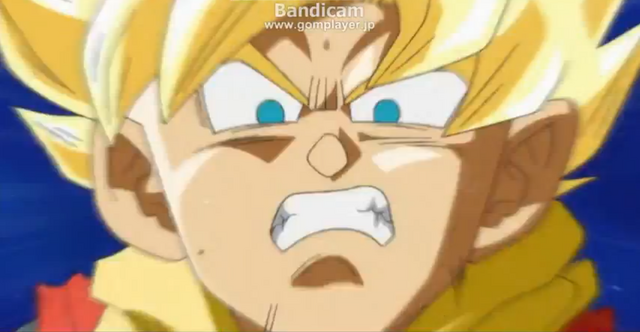 File:HeroFace(DBH13).png