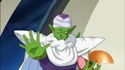 Piccolo dbs 62