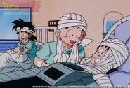GokuHopital.jpeg