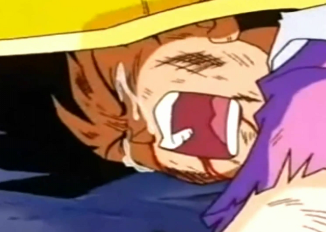 File:Videl getting crushed.png