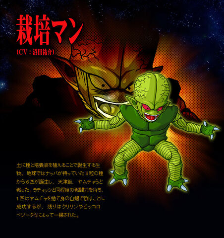 File:Saibamen BT3.jpg