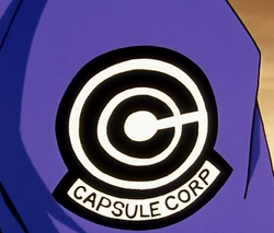 Kapsuliu korporacijos logo logotipas.png
