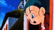 Bulla 1.png