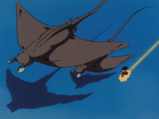 File:FlyingRays.png
