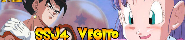 File:SSJ4VegitoBanner.jpg