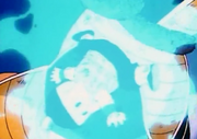 NAPPA THE INVINCIBLE 1