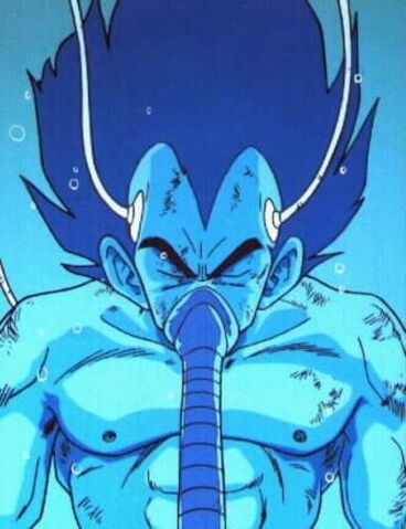 Arquivo:VEGETA.jpg
