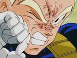Vegeta error 2