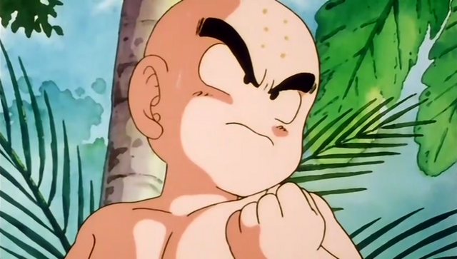 File:KrillinSpWst(Ep22).png