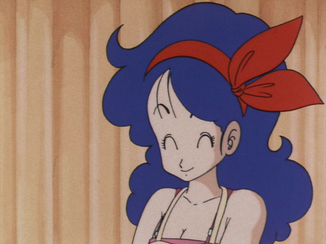 File:LaunchCleaningHappy.png