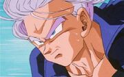 Trunks.jpg