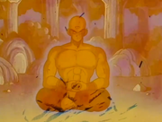 Ten Shin Han meditant.png