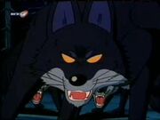Lobos.jpg
