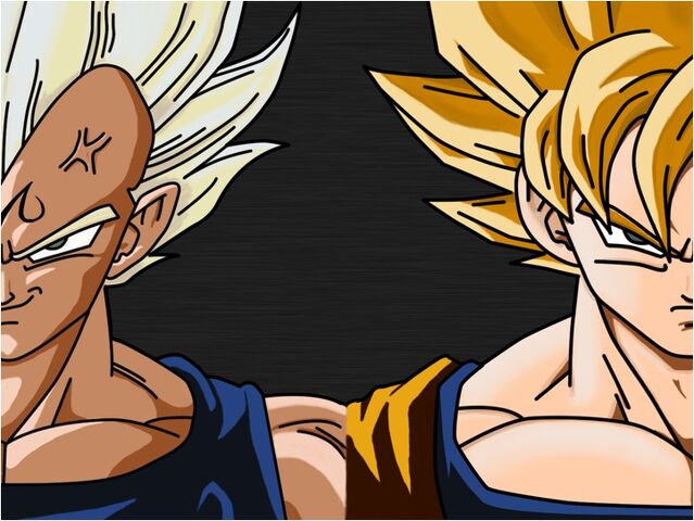 File:Goku vegeta 2.jpg