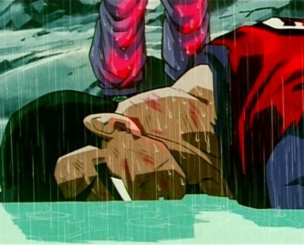 File:Future Gohan 05.jpg