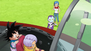 Jaco Bulma etc
