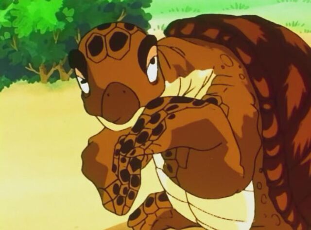 Arquivo:TurtleFighter.jpg