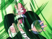 Roshi!!!.png