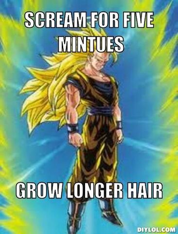 File:GokuMeme2.jpg