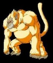 OOZARU DORATO.jpg