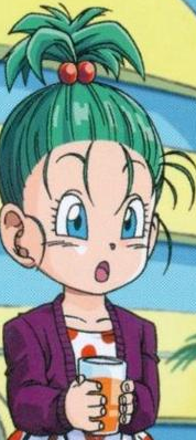 Bra DBZ profilo.png