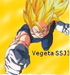 Vegeta (SSJ3)