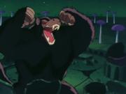 Ohzaru