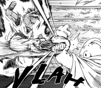 Ub vs Majin Bu.png