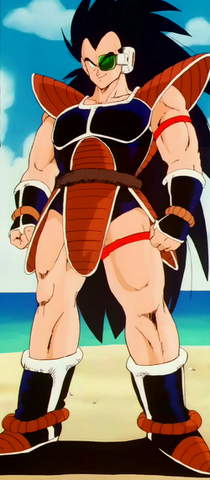 File:Raditz .png