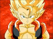Images (61)
