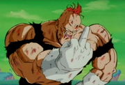 Recoome 8