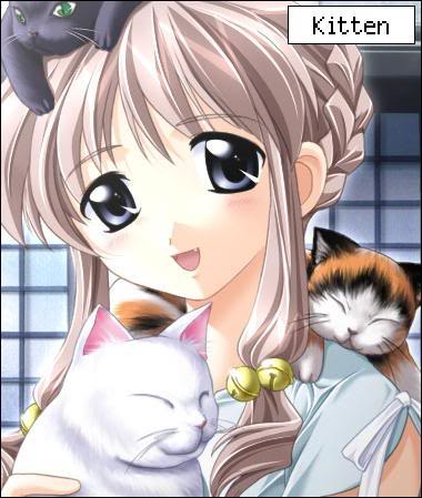 File:1075752596 mPetKitten.jpg
