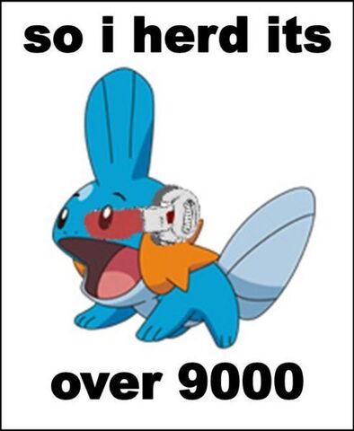 File:492px-Mudkip1 9000.jpg