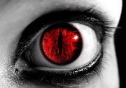 Evil Eye