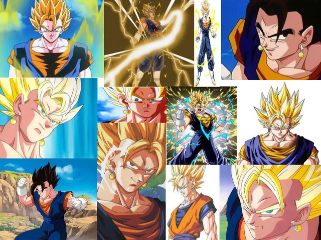 File:Vegito fan.png