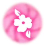 Toque de Gracia