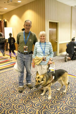 File:Service dog 1.jpg