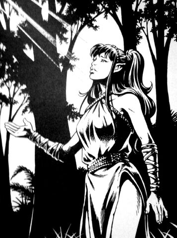 File:Dragonero Racconto Sera Cover.jpg