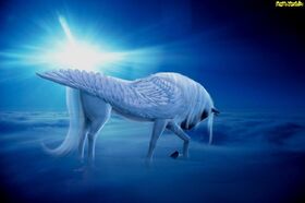 Pegaso3