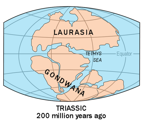 File:Gondwana.png