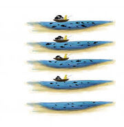 Images