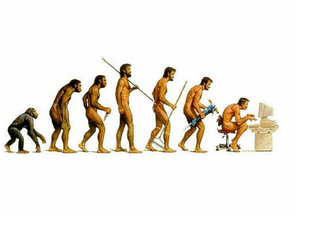 File:Evolution-1.jpg
