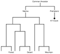 Thumbnail for version as of 15:46, December 27, 2011