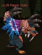 Magier Dudu.jpg