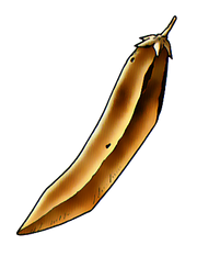 Graine d'Agilité