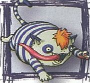 Gato carce