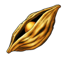 SeedOfLifeArt.png