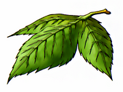 YggdrasilLeaf